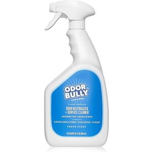 Whip-It Odor Bully Instant Odor Neutralizer Spray – Stain Remover and Odor Eliminator for Home and Car in One – 32oz